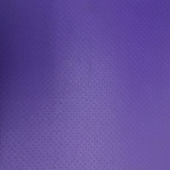 vinyl purple